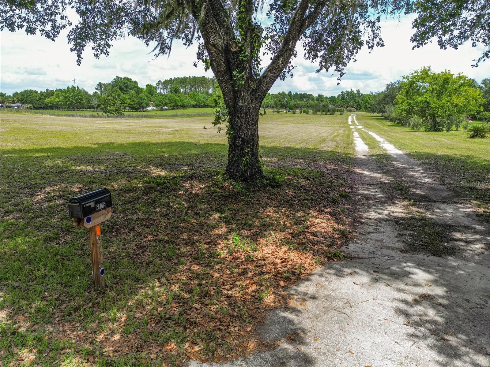 3 Acres, 6175 NW 193RD STREET, Micanopy, FL 32667 Land and Farm