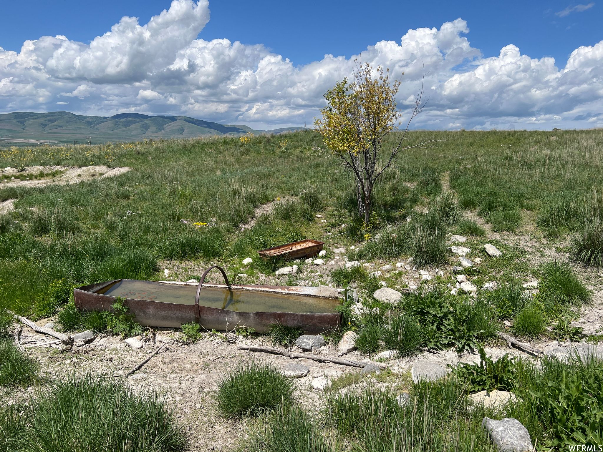 12.5 Acres, 3800 W 20300 N, Plymouth, UT 84330 Land and Farm