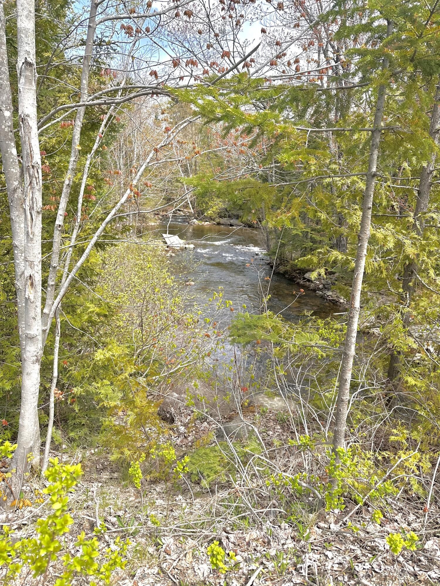 4.2 Acres, 028 Edelheid Road, Rangeley, ME 04970 Land and Farm