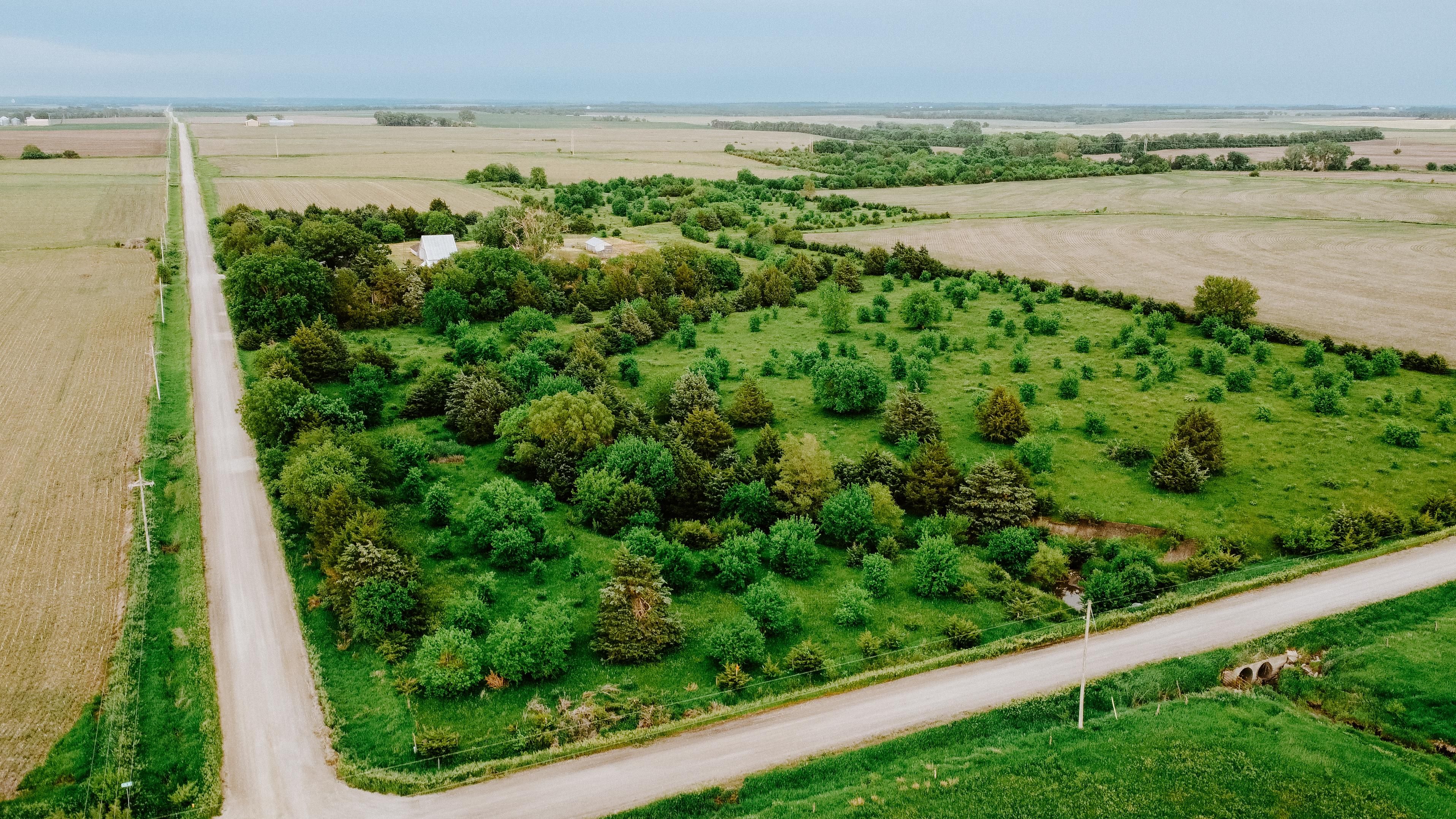 120 Acres, 63517 717 Rd, Humboldt, NE 68376 Land and Farm