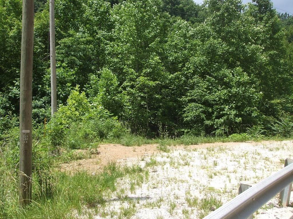 33 Acres, 0 Lacey Creek Rd (Map 0460000009), Salyersville, KY 41465