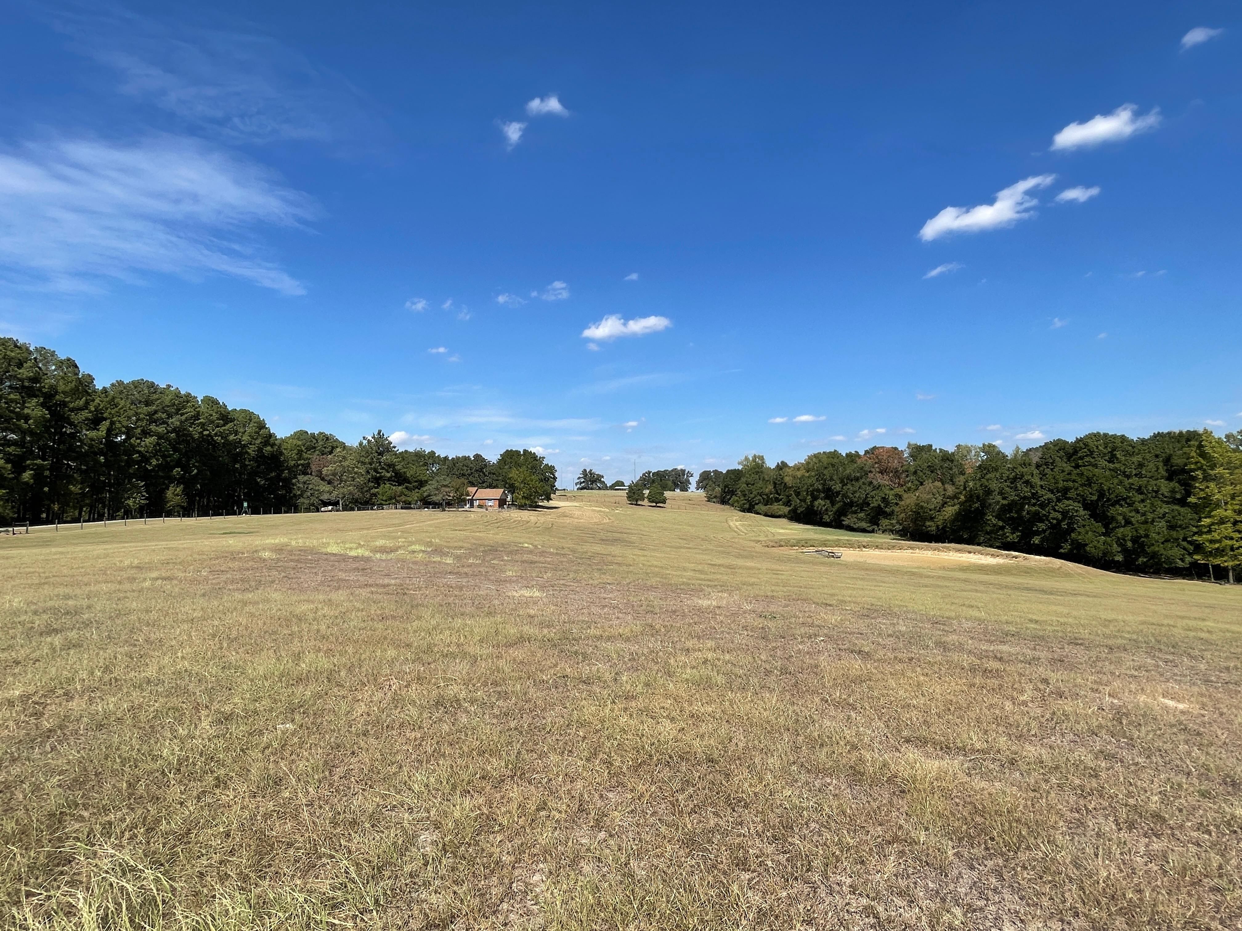 16.97 Acres, 6020 PR 3350, Buffalo, TX 75831 Land and Farm