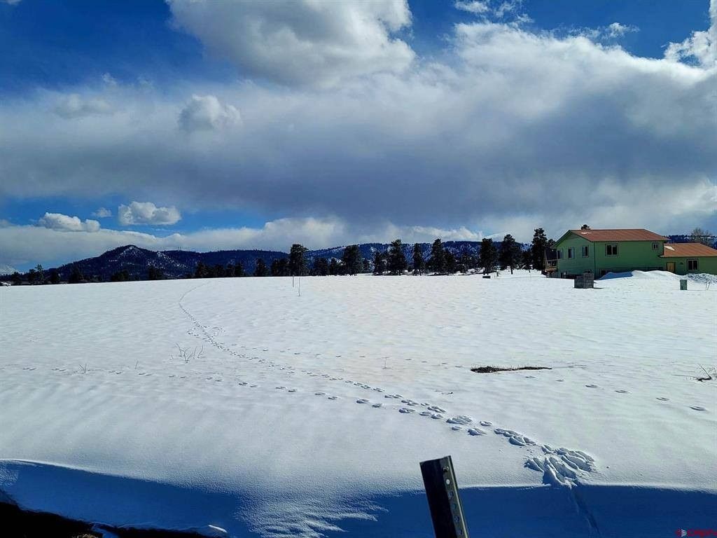 0.6 Acres, 24 Paisley Ct, Pagosa Springs, CO 81147 Land and Farm