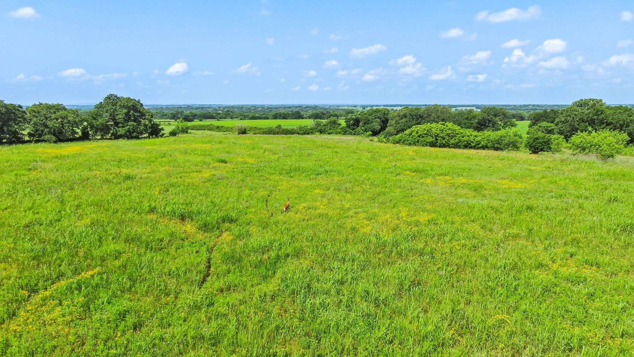 47 Acres, FM 587, De Leon, TX 76444 Land and Farm