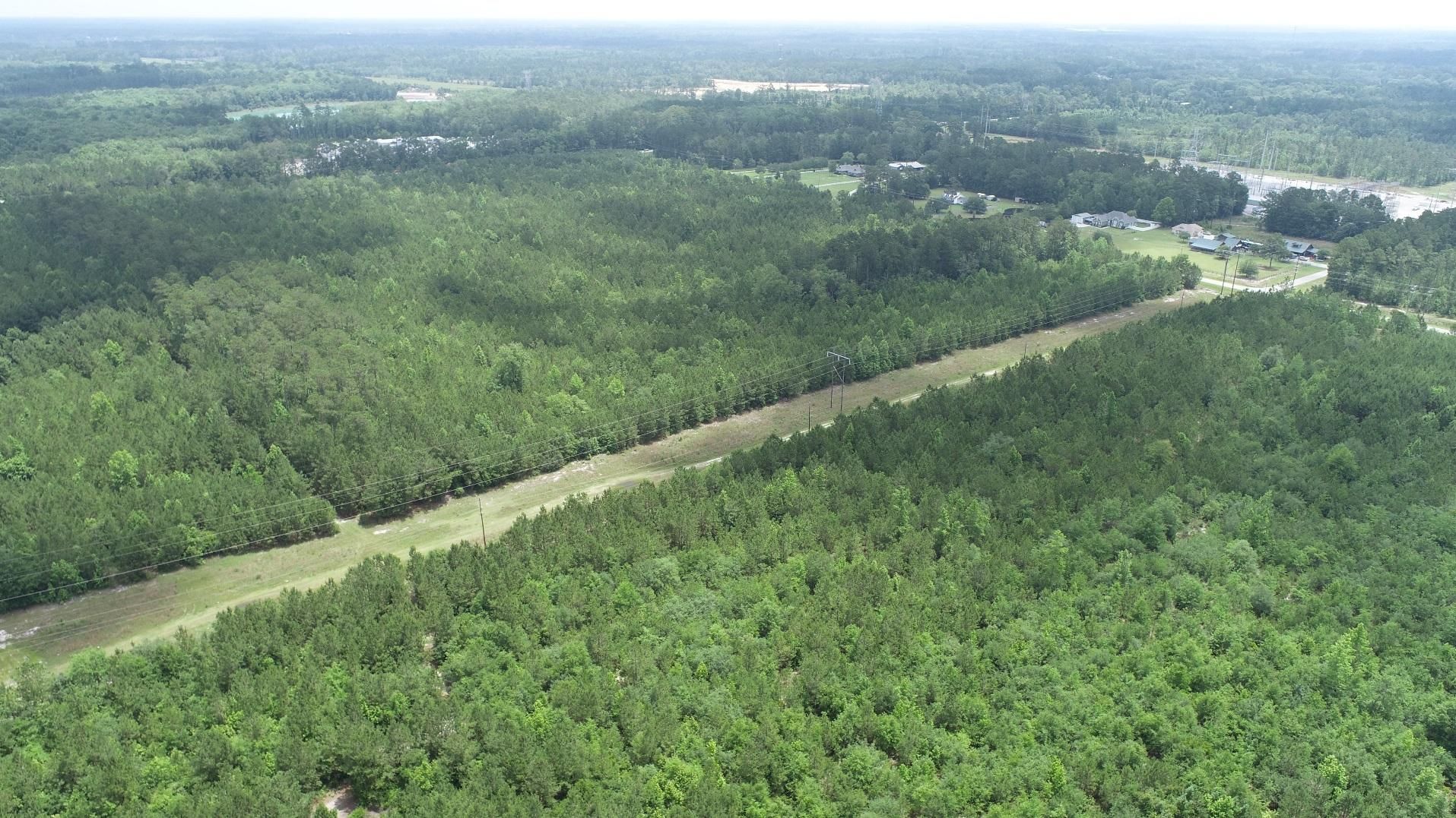 Meldrim Road, Bloomingdale, GA 31302 MLS Meldrim Road Land and Farm