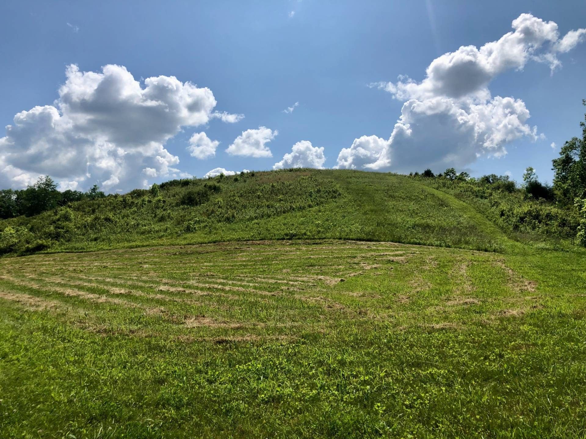 8.67 Acres, Tract 4 Boswell Lane, Mackville, KY 40040 Land and Farm