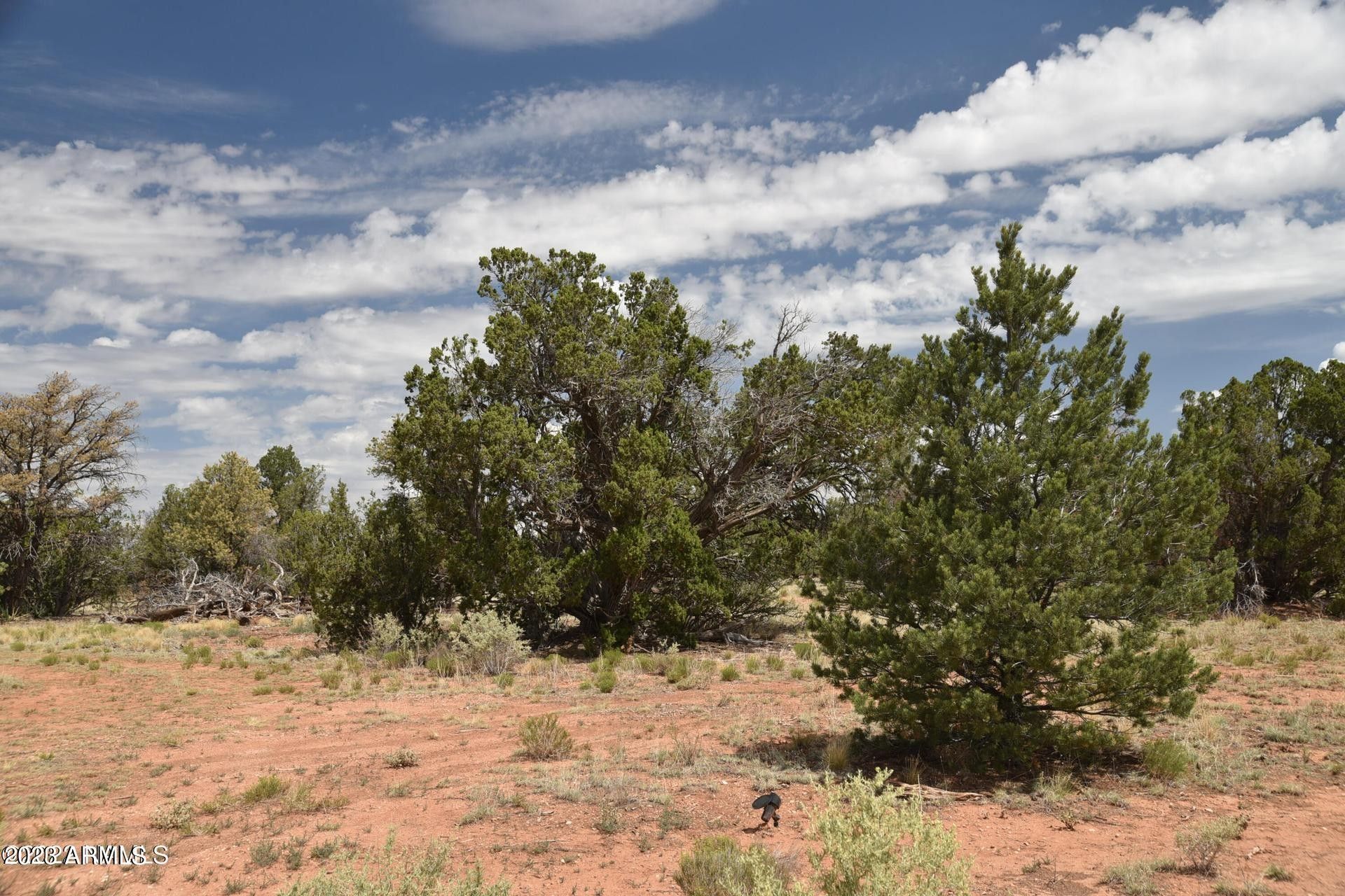 10 Acres, 4615 N ALTA VILLA Road, Williams, AZ 86046 Land and Farm