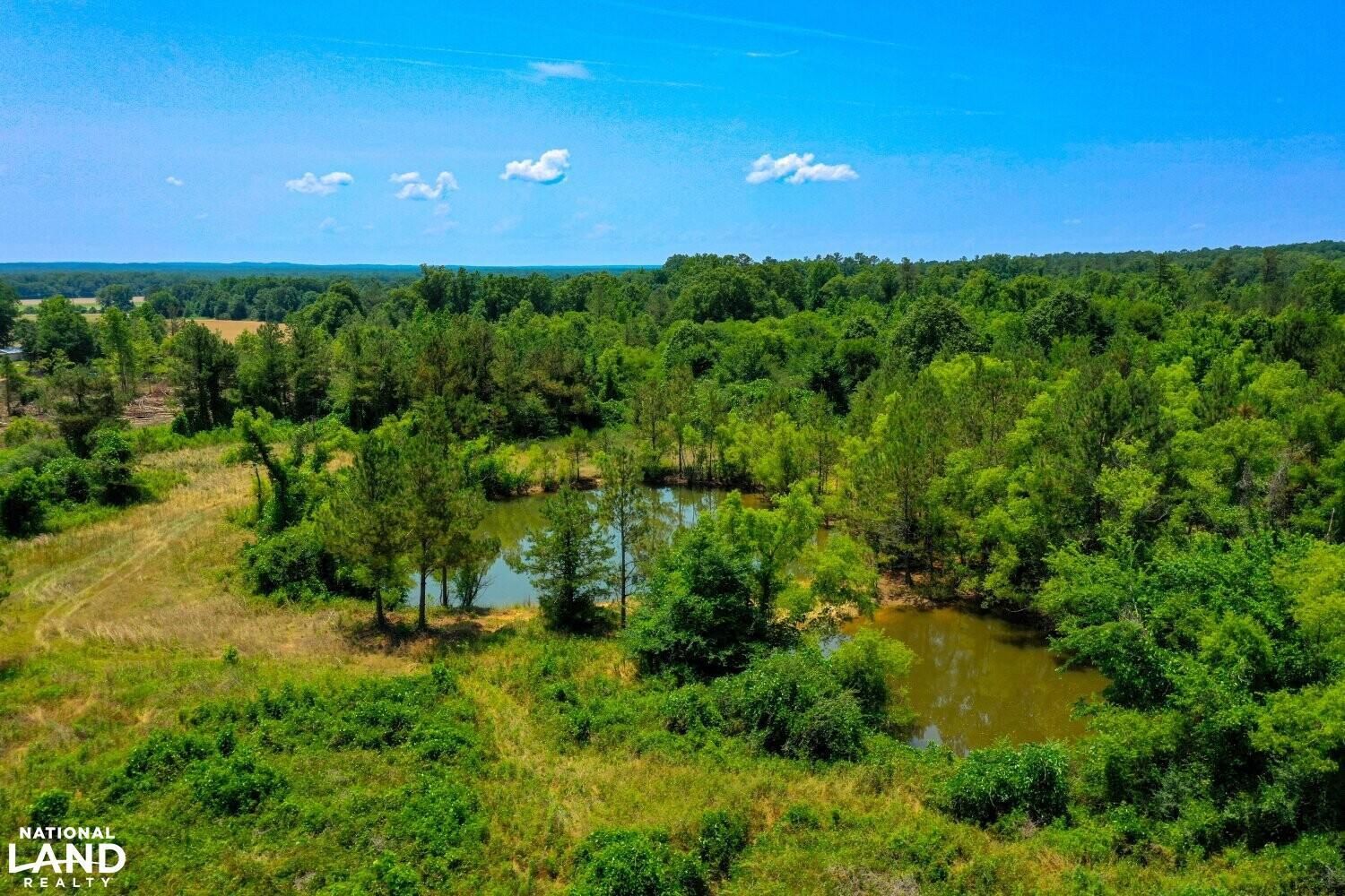 67 Acres, 0 Hwy 51 South, Durant, MS 39063 Land and Farm