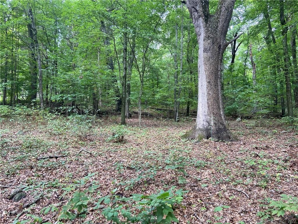 1.5 Acres, 24 Anella Drive, Bethany, CT 06524 Land and Farm