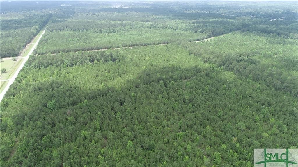 198.97 Acres, 0 Meldrim Road, Bloomingdale, GA 31302 Land and Farm