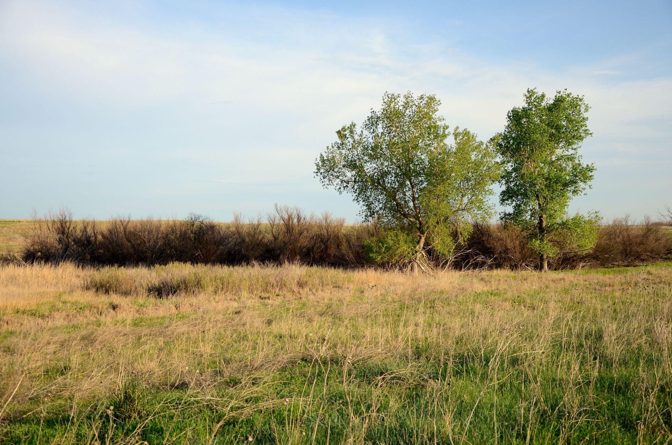 280 Acres, 1292 Avenue O, Coldwater, KS 67029 Land and Farm