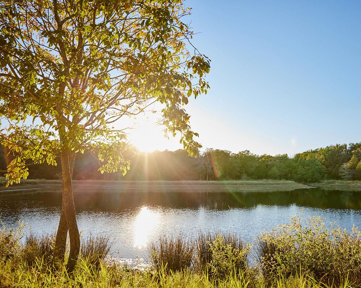 4 Acres, 12357 FM1469, Marquez, TX 77865 Land and Farm