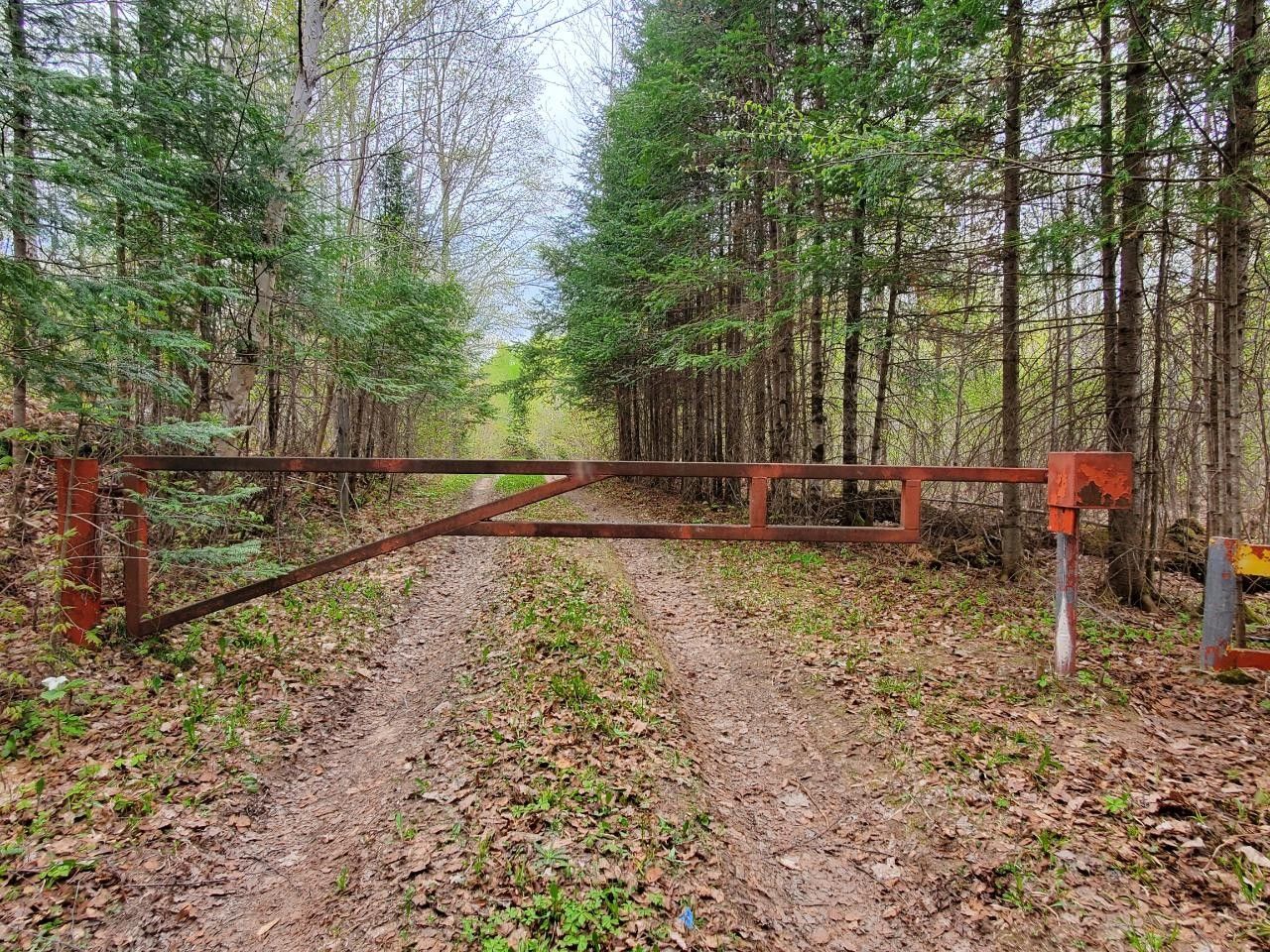 240 Acres, Off FOREST RD 2167, Long Lake, WI 54511 Land and Farm