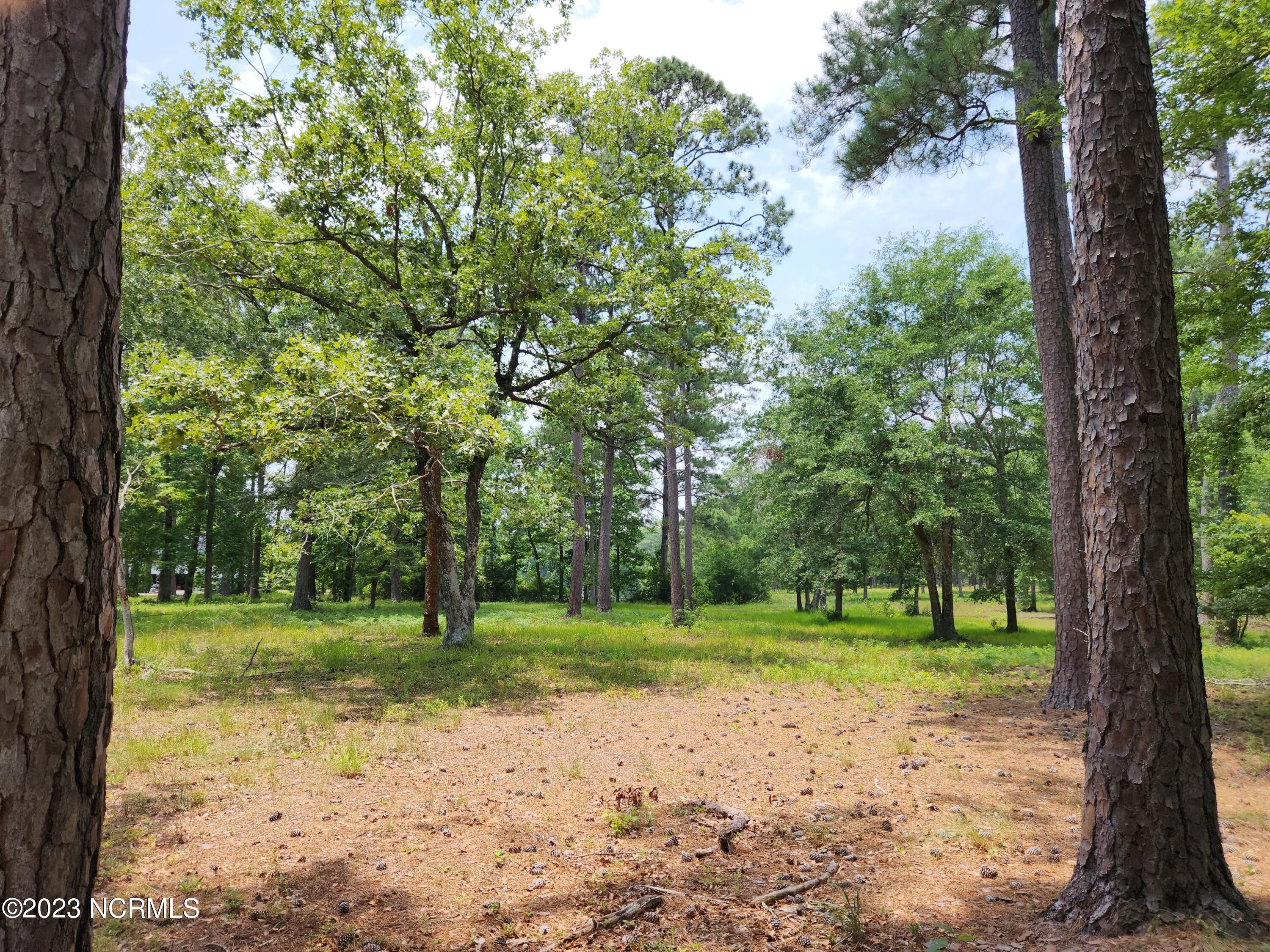 0.54 Acres, Lot 12 Loblolly Drive SW, Shallotte, NC 28470 Land and Farm