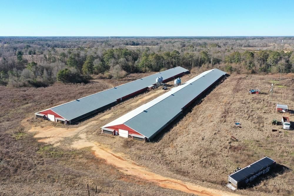 43 Acres, 427 Huggins Street, Mckenzie, AL 36456 Land and Farm