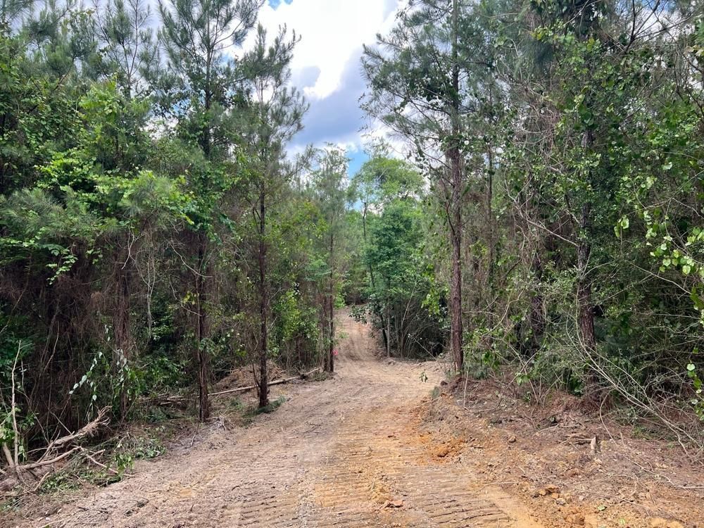 Old Three Notch Road, Elba, AL 36323 Land and Farm