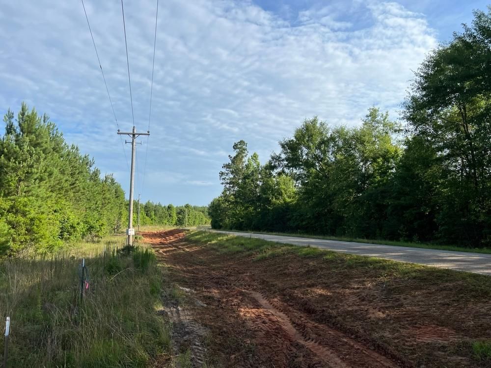 County Road 306, Elba, AL 36323 Land and Farm