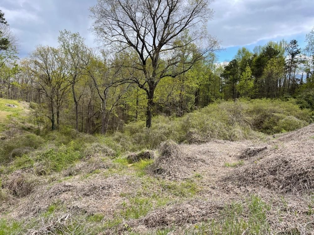 2.88 Acres, 0 US Highway 441, Baldwin, GA 30511 Land and Farm