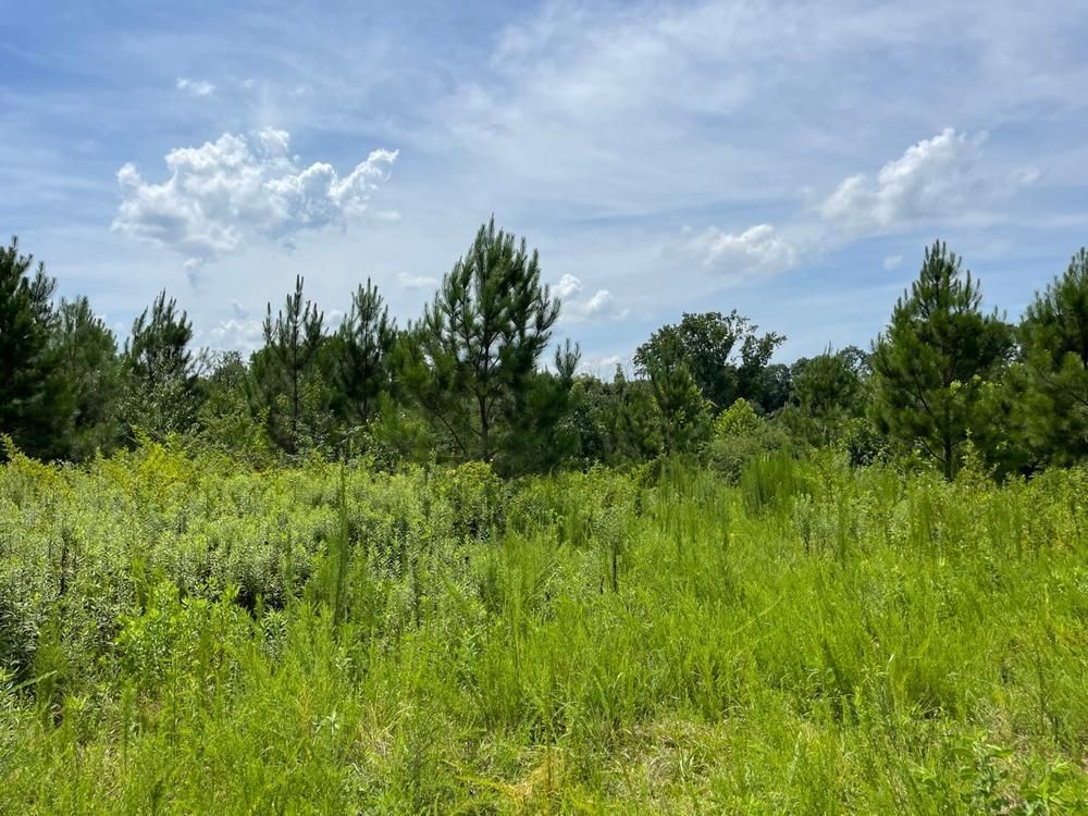 51 Acres, 0 Mountain Creek Drive, Pendergrass, GA 30567 Land and Farm