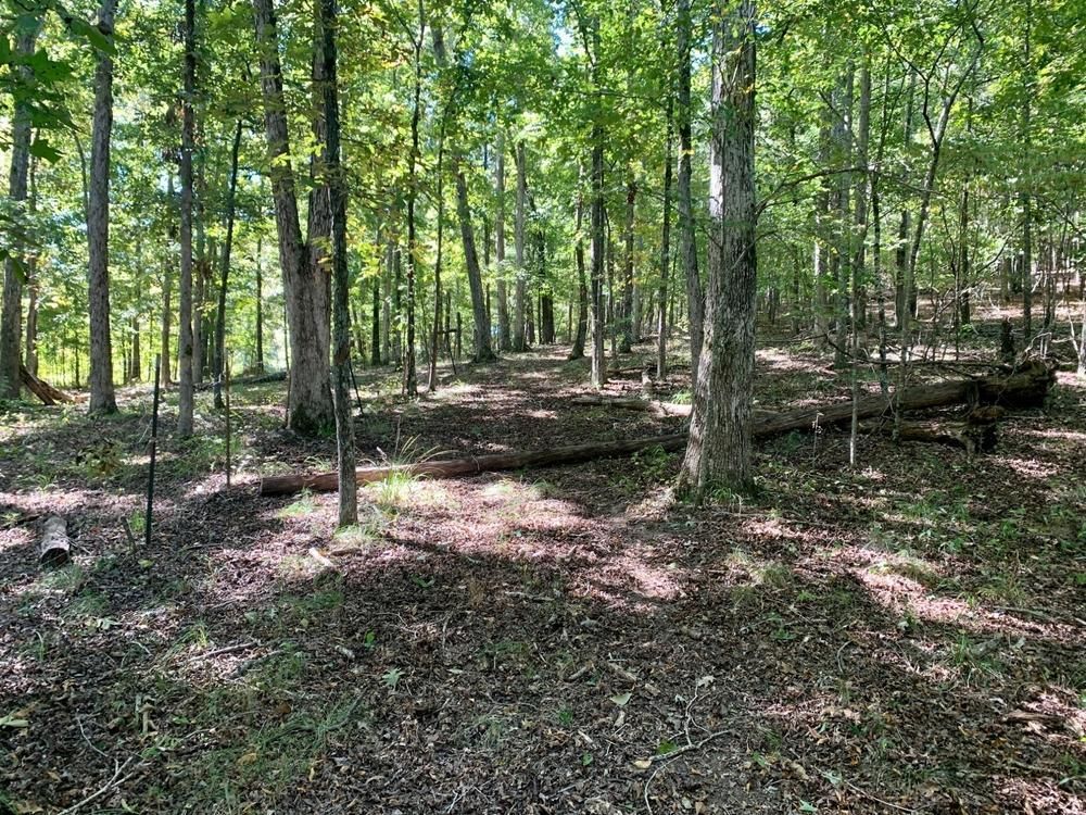 0 Cunningham Road, Rome, GA 30161 Land and Farm