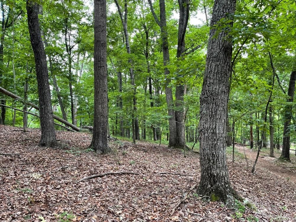 11 Acres, 2280 Hamilton Rd., Gainesville, GA 30507 Land and Farm