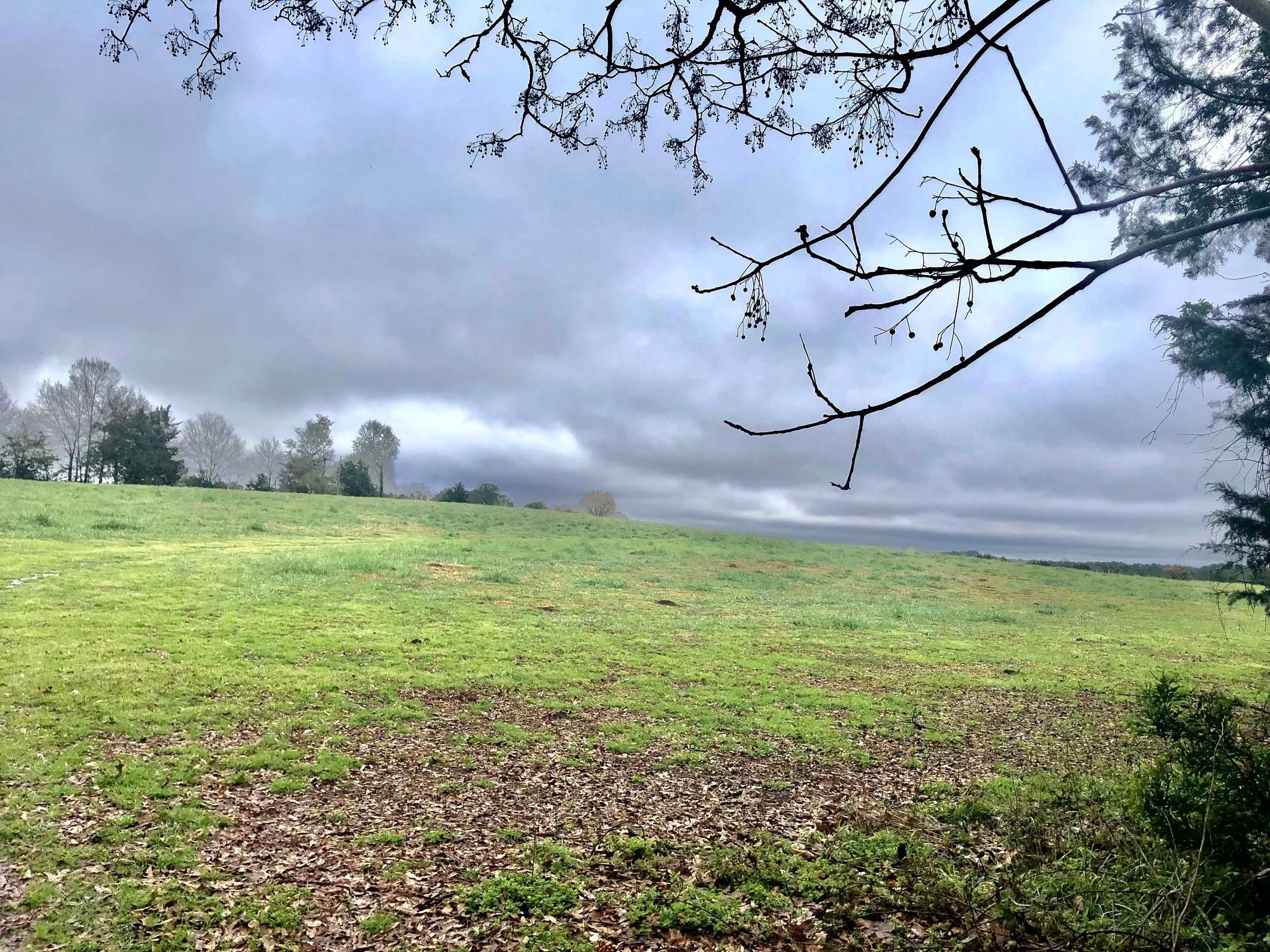 109.39 Acres, 191 Bootlegger Lane, Washington, GA 30673 Land and Farm