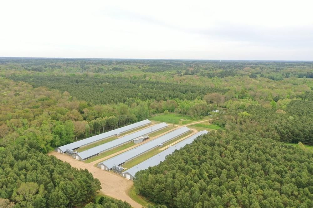 164 Roberts Road, Noxapater, MS 39346 Land and Farm