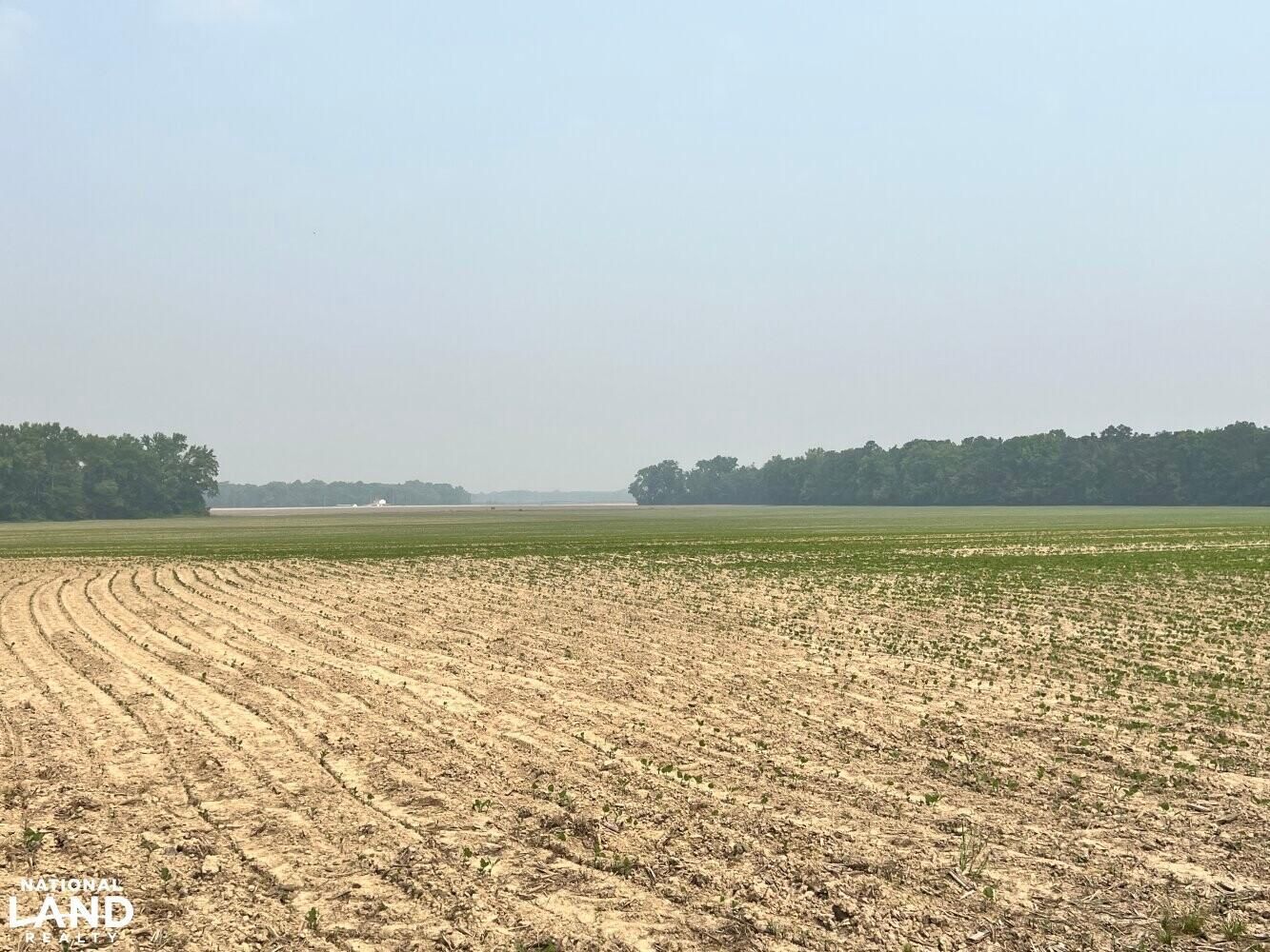 252.5 Acres, 17573 Herring Creek Road, Hanover, VA 23069 Land and Farm