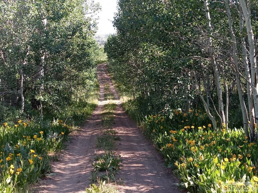 3.59 Acres, Tbd Plum Tree Cir, Bancroft, ID 83217 Land and Farm