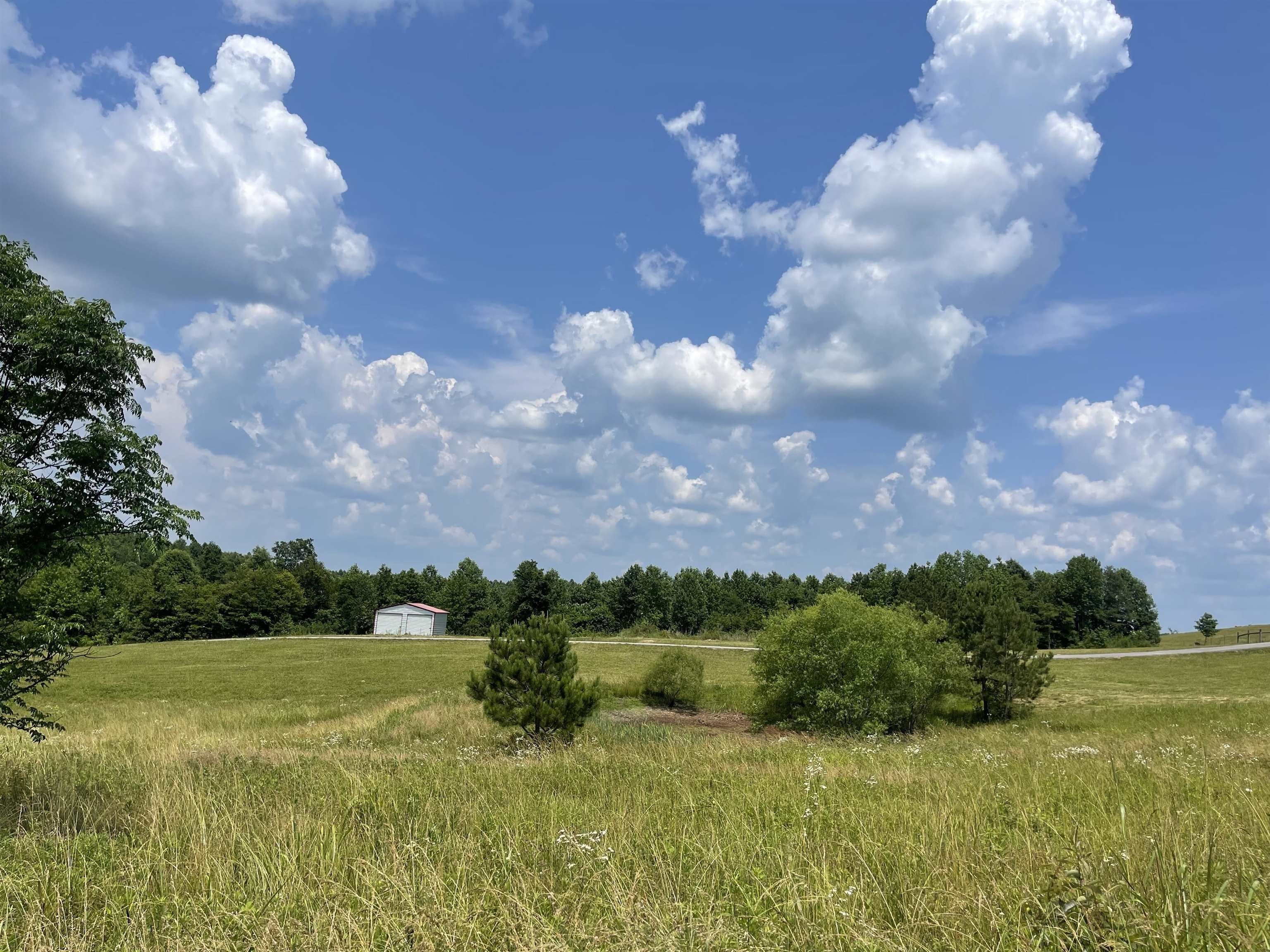 48.28 Acres, 221 Wyatt Dr, Phil Campbell, AL 35581 Land and Farm