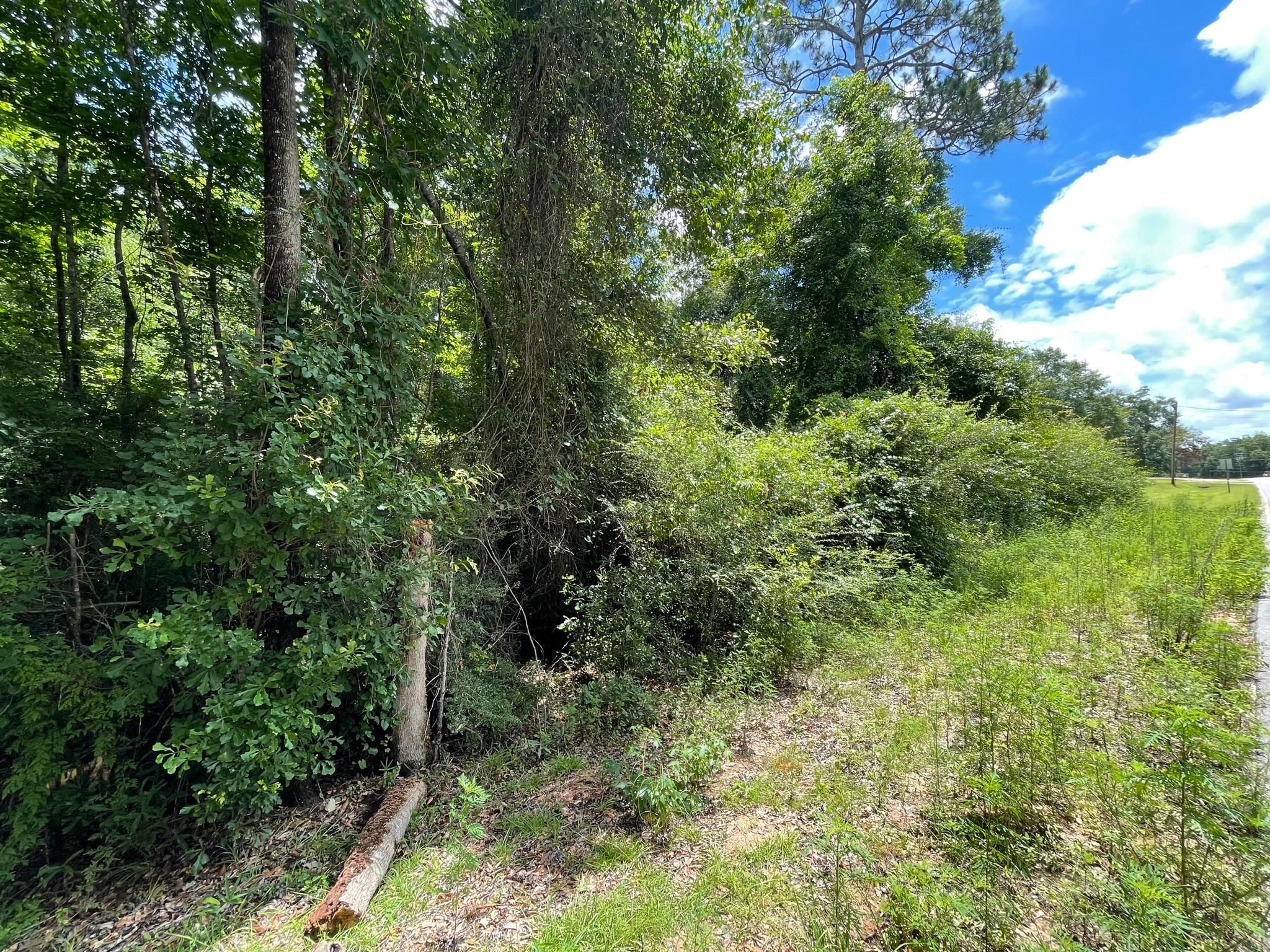 1131 Wolf Log Rd, Flomaton, AL 36441 MLS 628325 Land and Farm