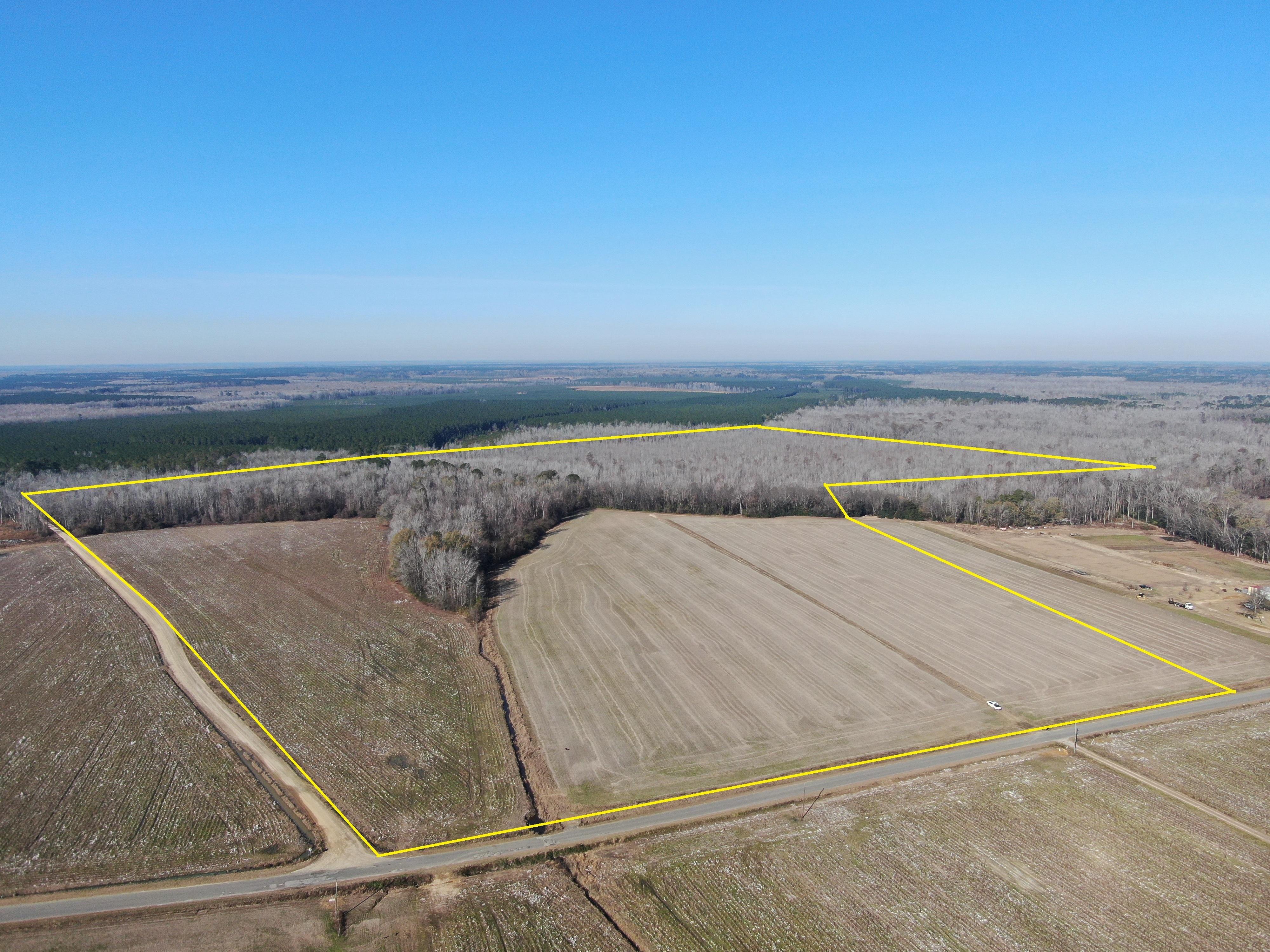 TBD Gum Swamp Road, Sellers, SC 29592 Land and Farm