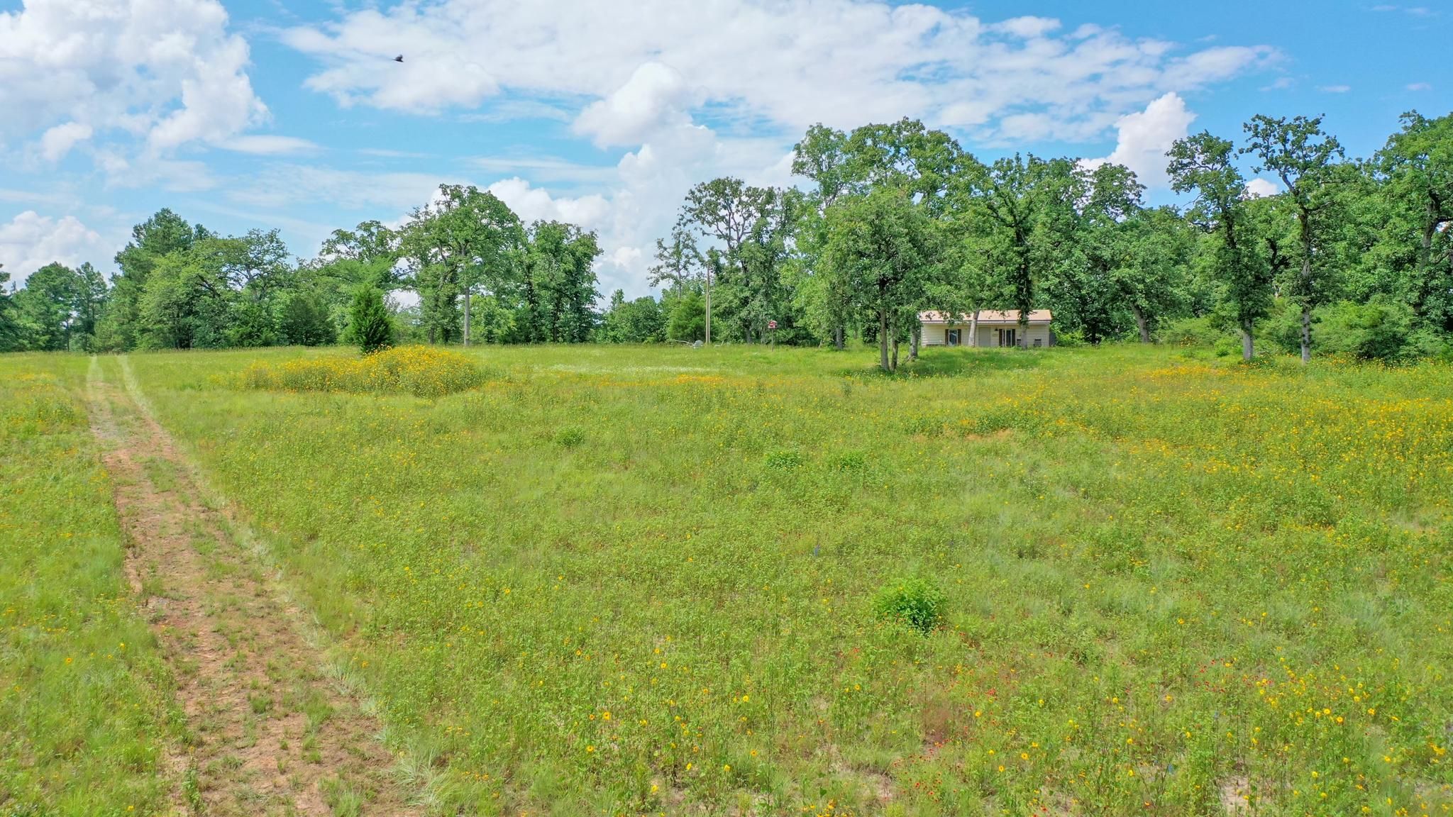 20 Acres, Centerville, TX 75833 Land and Farm