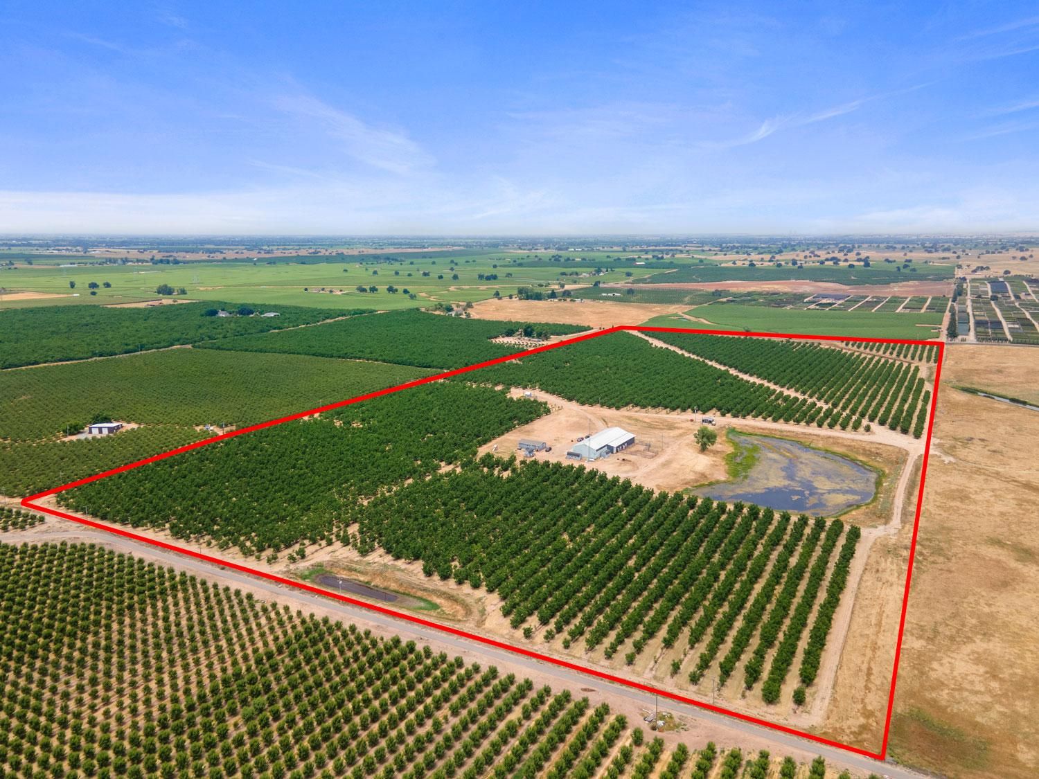 20080 East Kettleman Lane, Lodi, CA 95240 MLS 223051561 Land and Farm