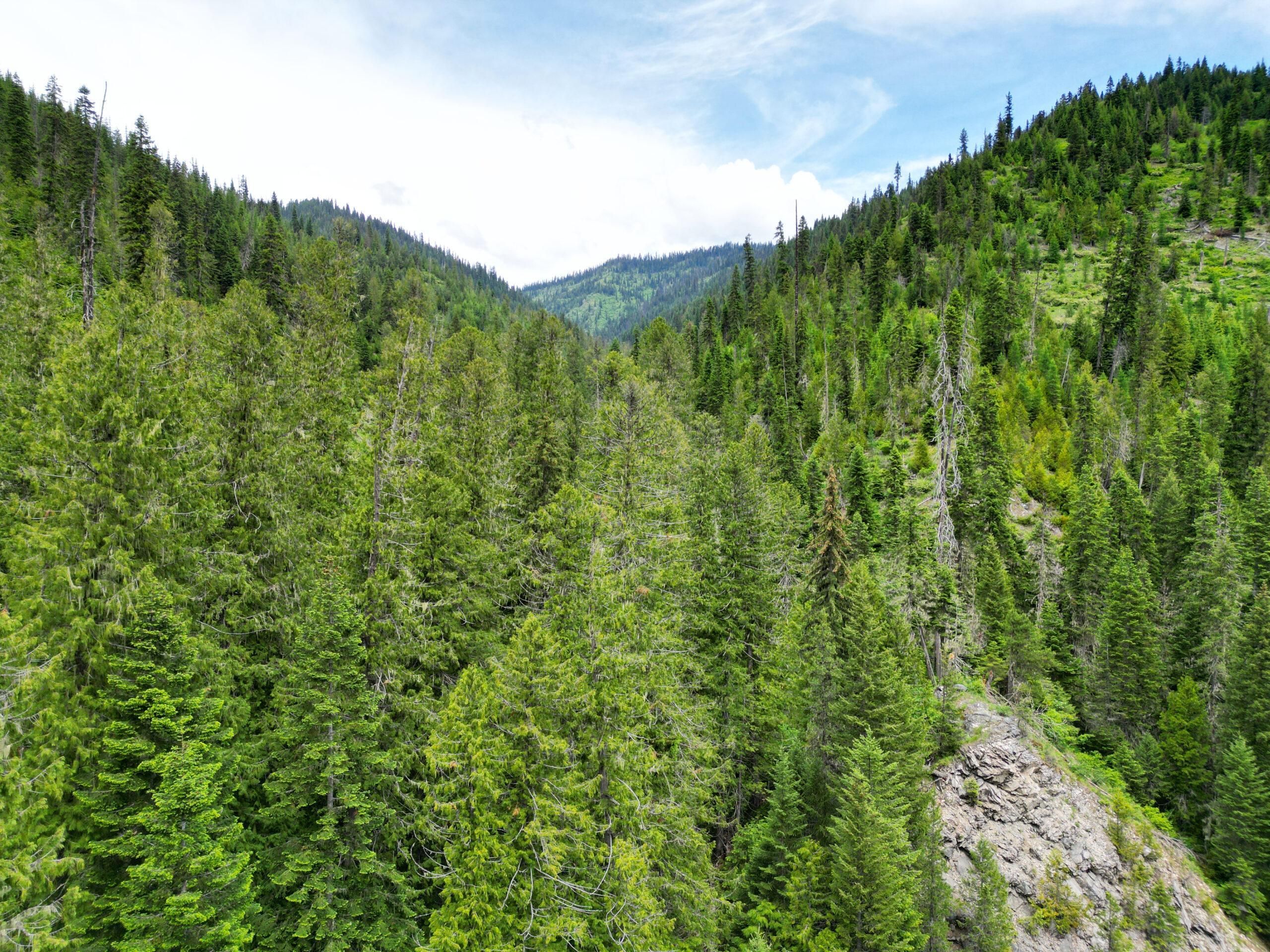 581.18 Acres, TBD Cross Country Rd, Kooskia, ID 83539 Land and Farm