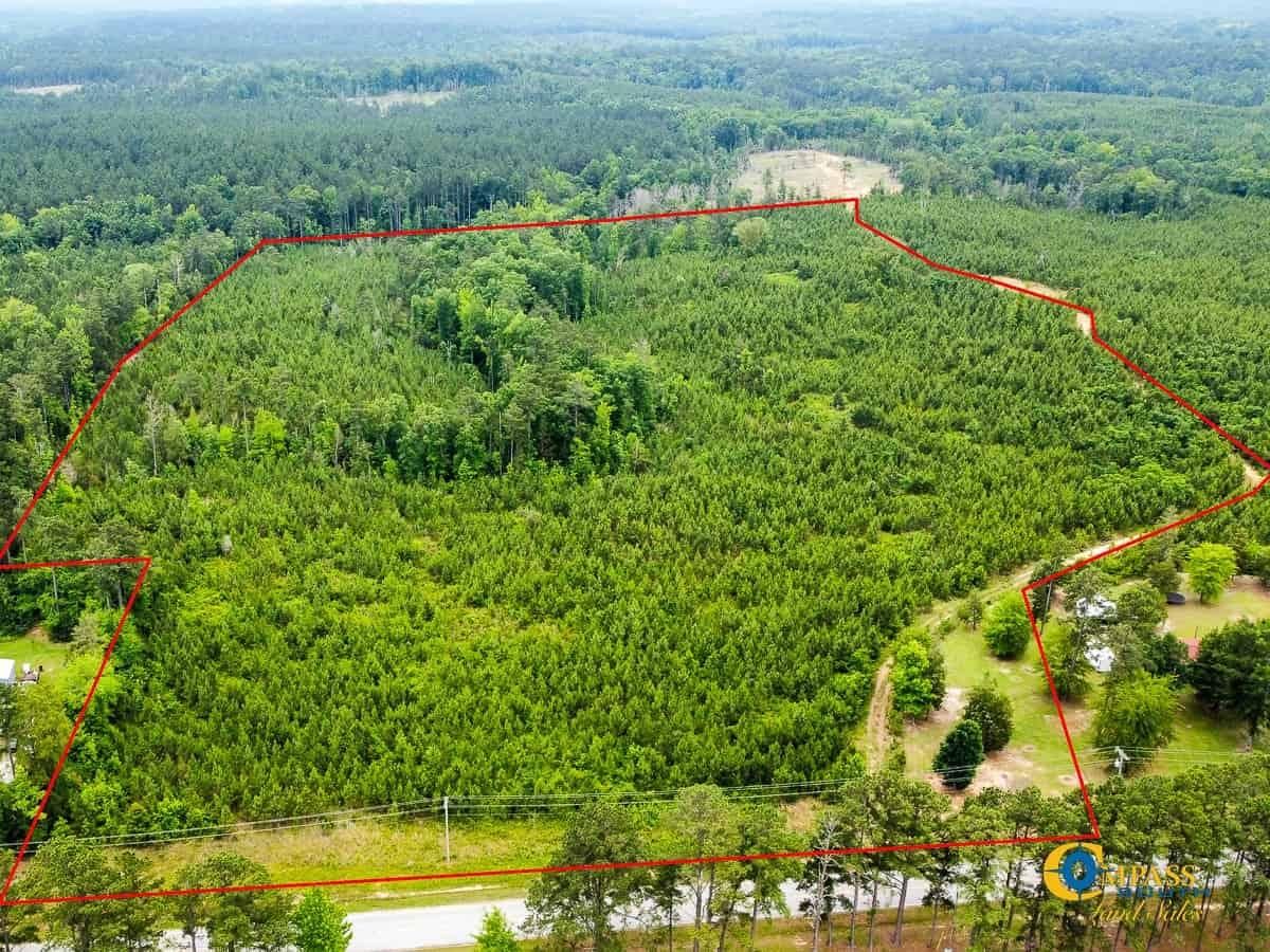 Old Airport Road, Winnsboro, SC 29180 Land and Farm