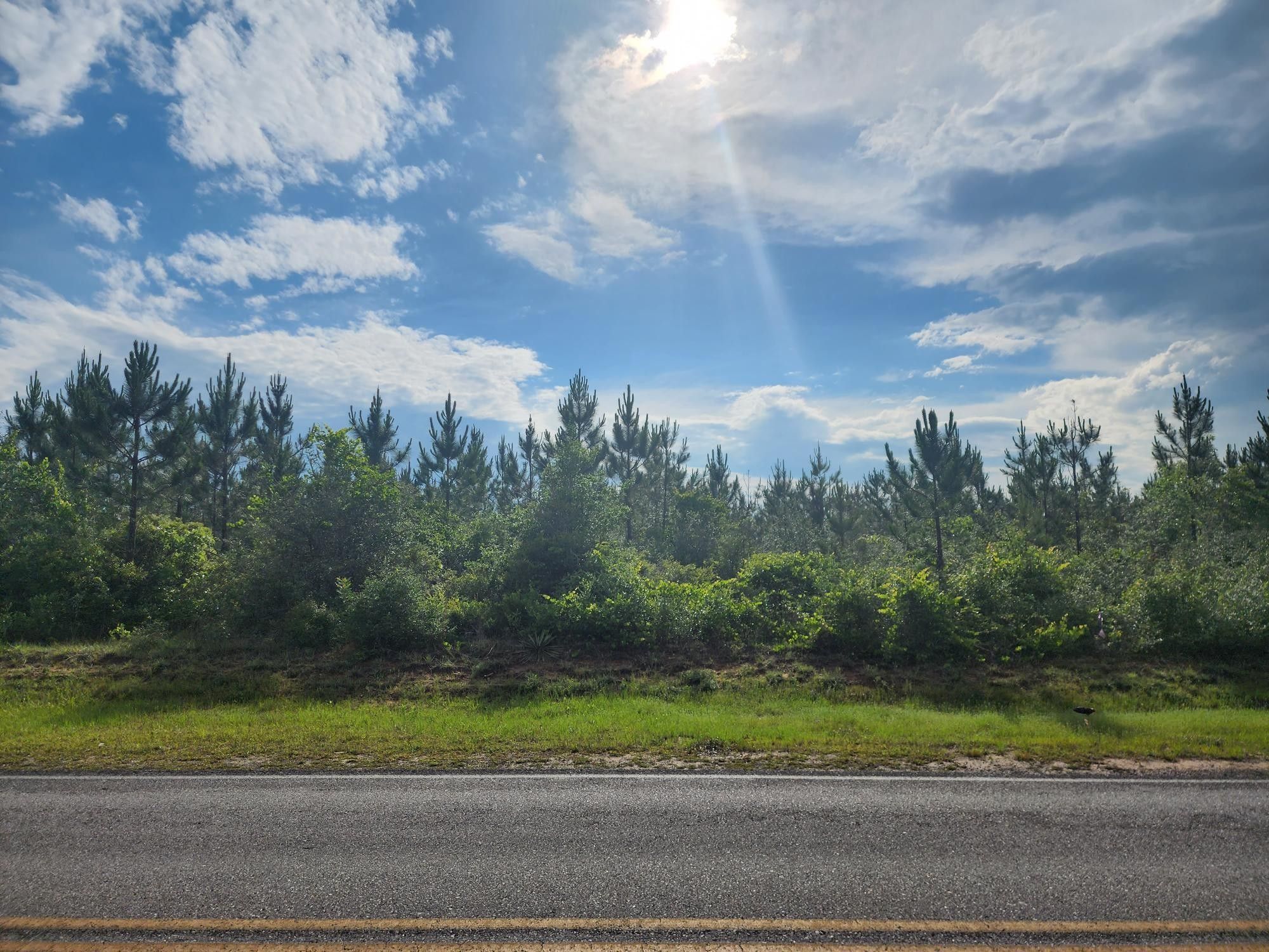 20.92 Acres, Parcel 12 Long Road, Laurel Hill, FL 32567 Land and Farm