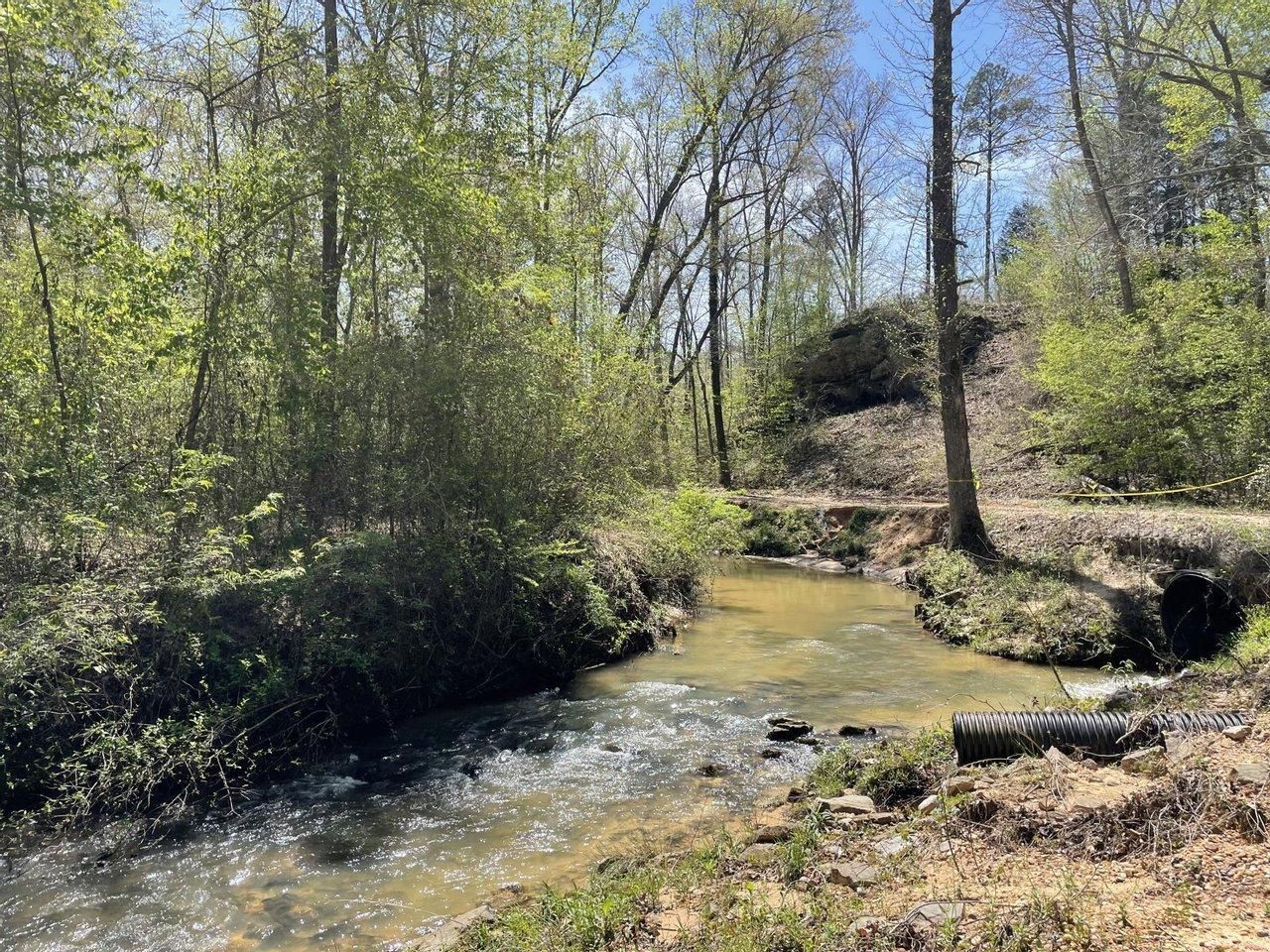 40 Acres, County Road 115, Double Springs, AL 35553 Land and Farm