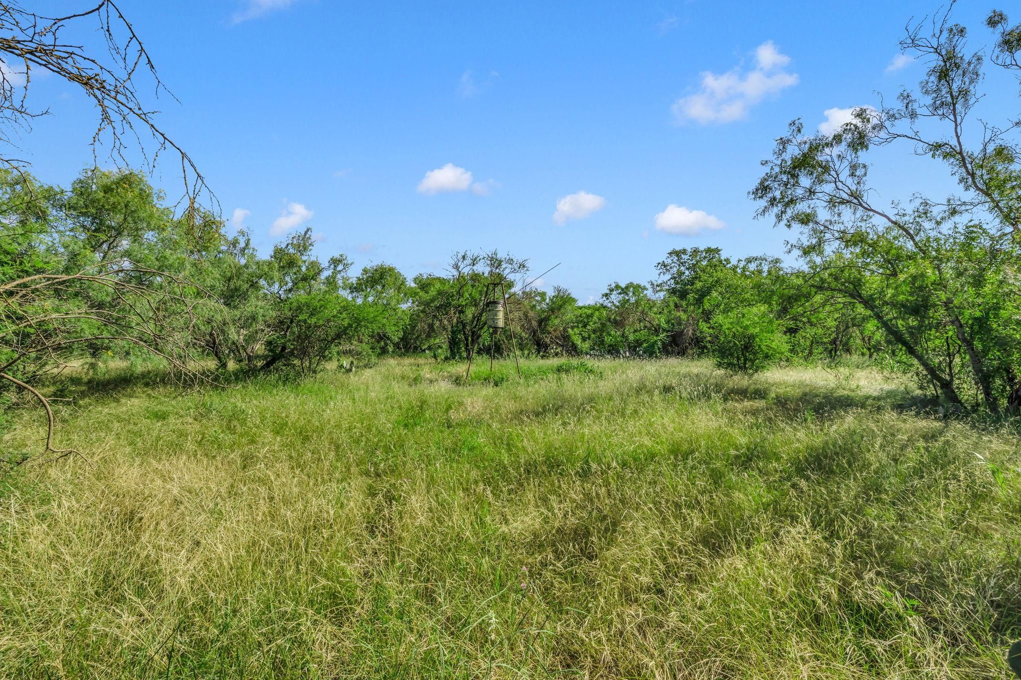 13.95 Acres, County Road 5715, Natalia, TX 78059 Land and Farm