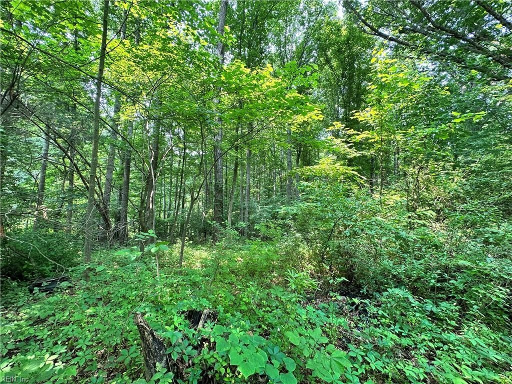 3.05 Acres, 2555 Mountain View Road, Powhatan, VA 23139 Land and Farm