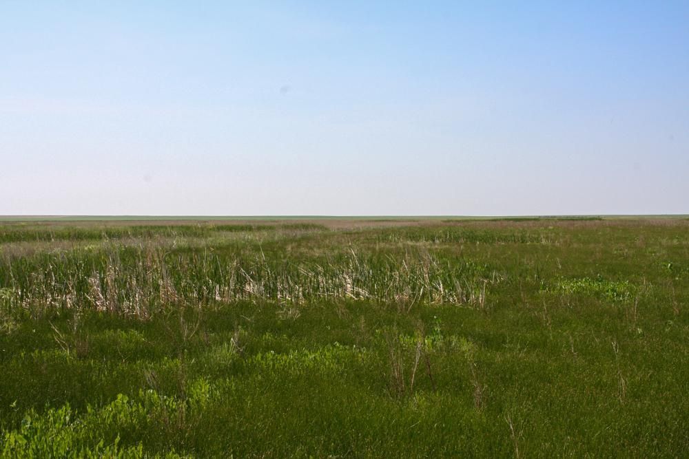 00000 308th Ave, Presho, SD 57568 MLS Lyman 160 Land and Farm