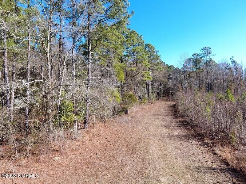 278.04 Acres, 0 Garland Highway, Garland, NC 28441 Land and Farm