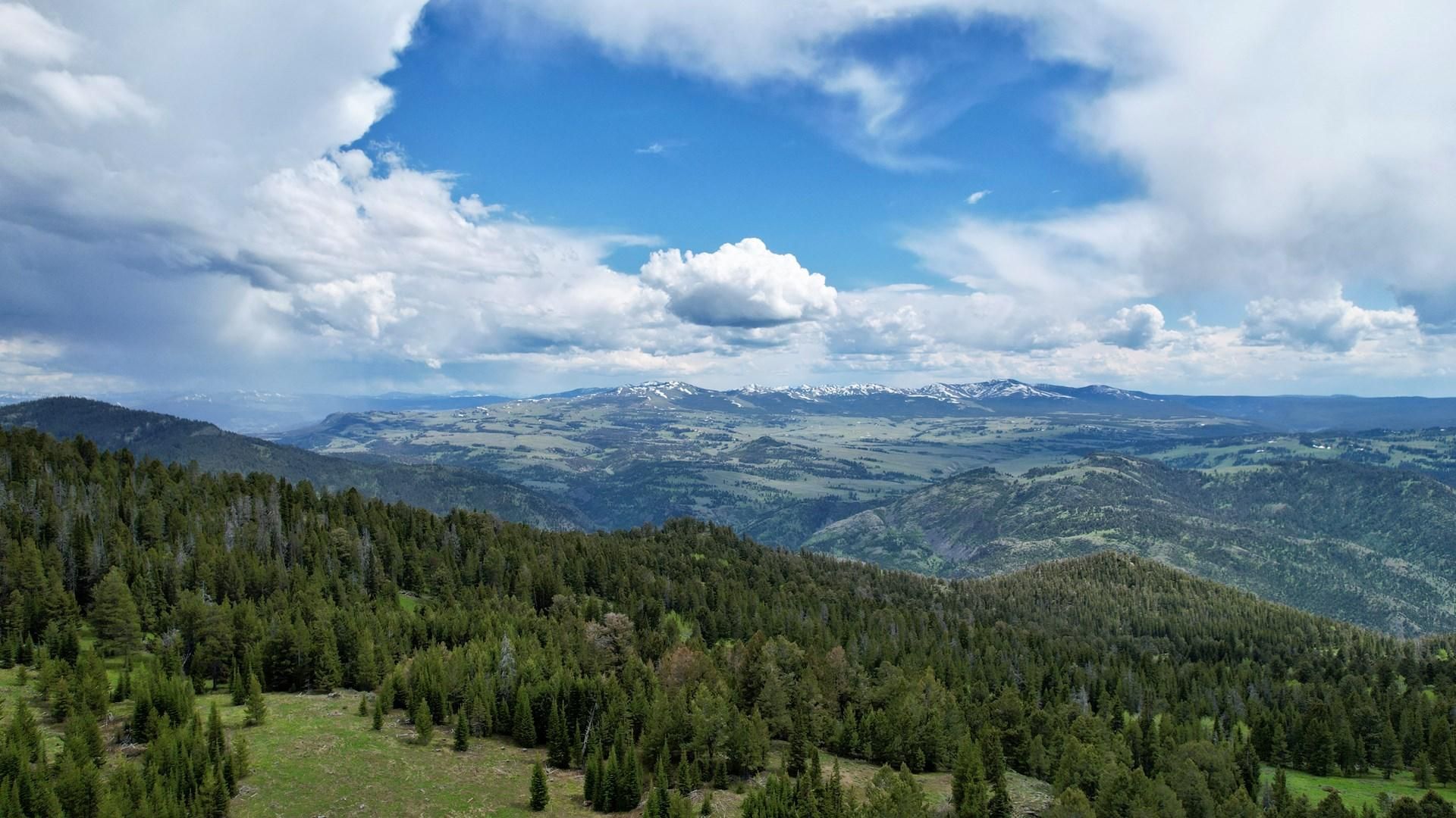 7.7 Acres, NHN Crevice Mountain Rd, Gardiner, MT 59030 Land and Farm