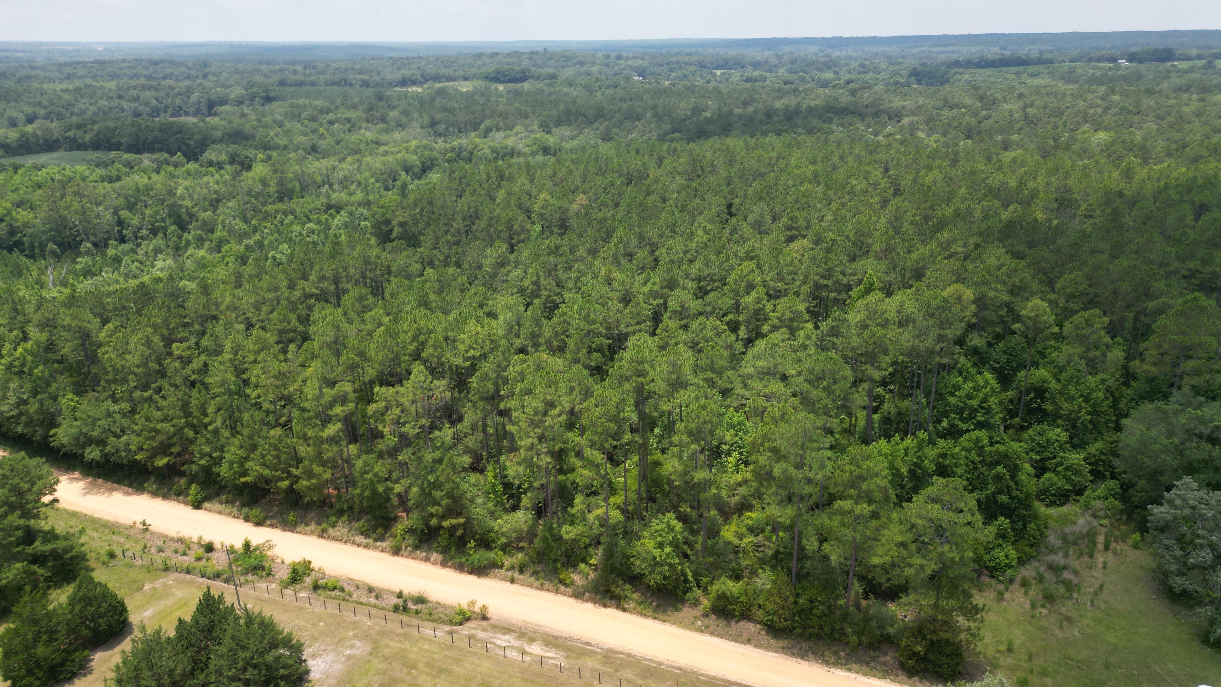 59 Acres, Arrant Road, Westville, FL 32464 Land and Farm