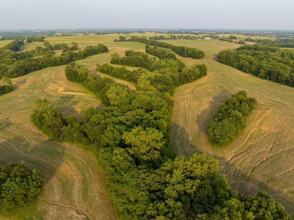 363 Acres, 0000 Highway C, Princeton, MO 64673 Land and Farm