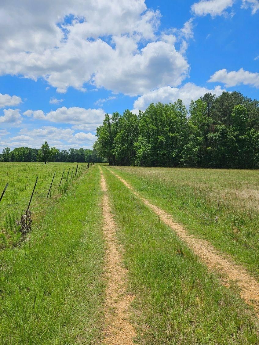269 Acres, 9001 SR14, Marion, AL 36756 Land and Farm