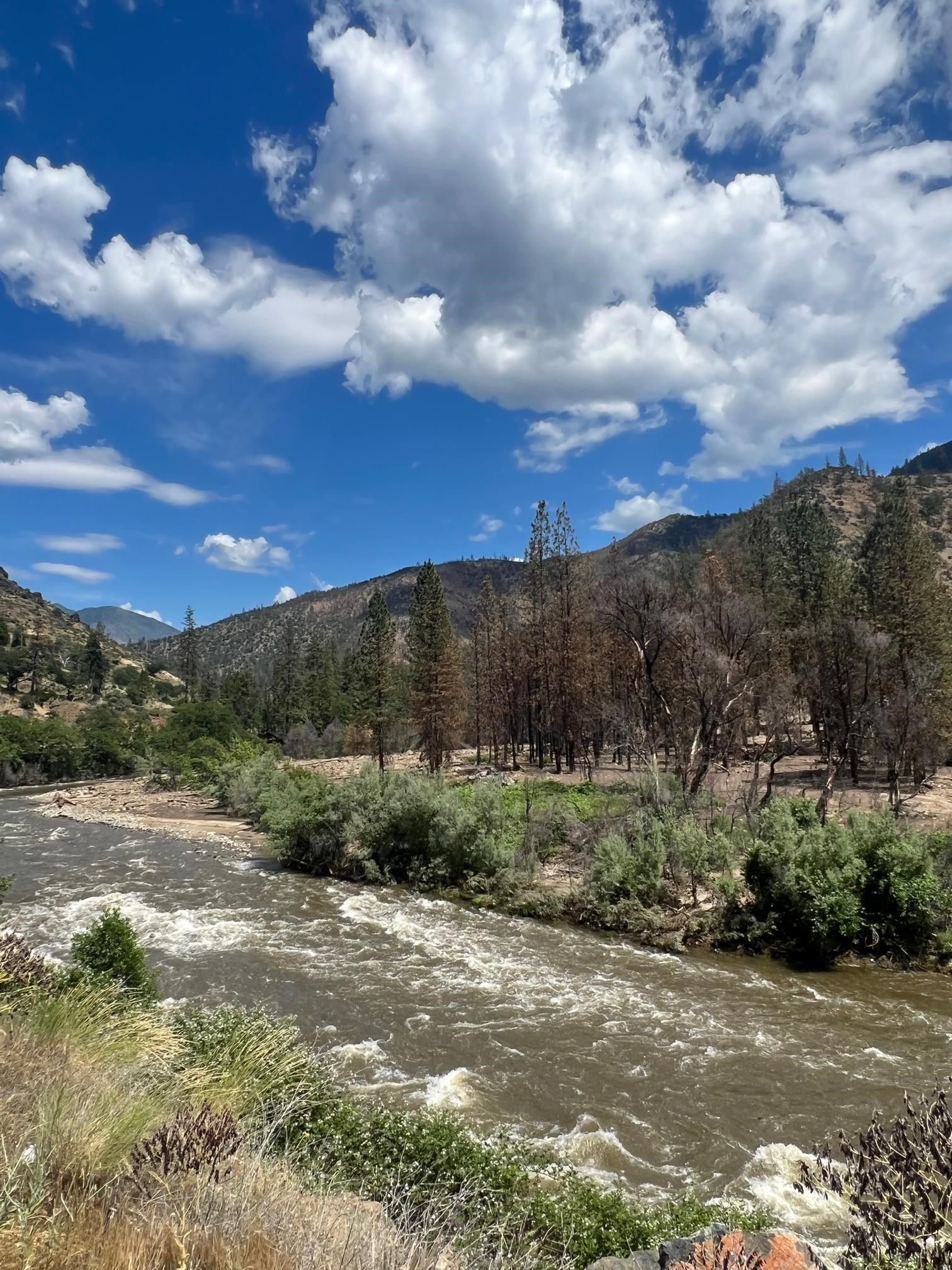 23.81 Acres, 23.81 Acres Vesa Creek, Klamath River, CA 96050 Land and