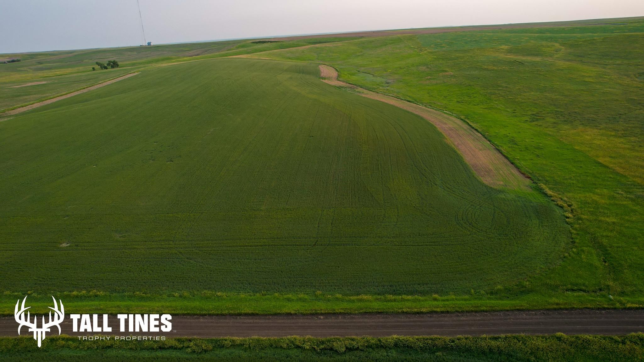 80 acres in Presho, SD, 57568 Land and Farm