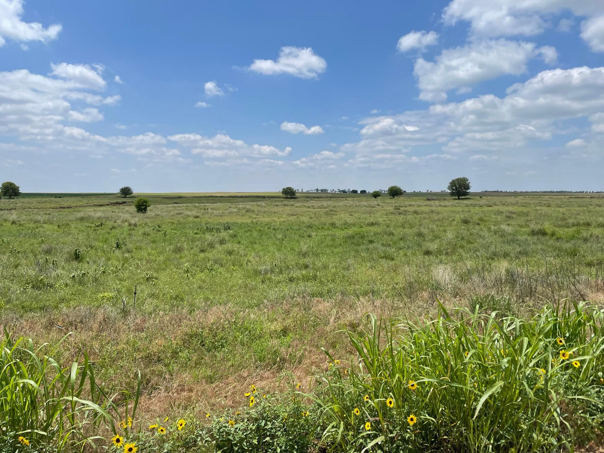 80 Acres, 775 NW 30 Rd, Attica, KS 67009 Land and Farm