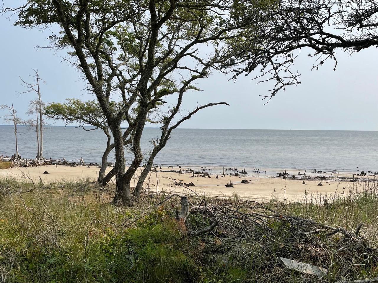 6.96 Acres, 588 Sandy Point Drive, Beaufort, NC 28516 Land and Farm